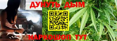 индика Рузаевка