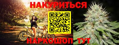 индика Рузаевка