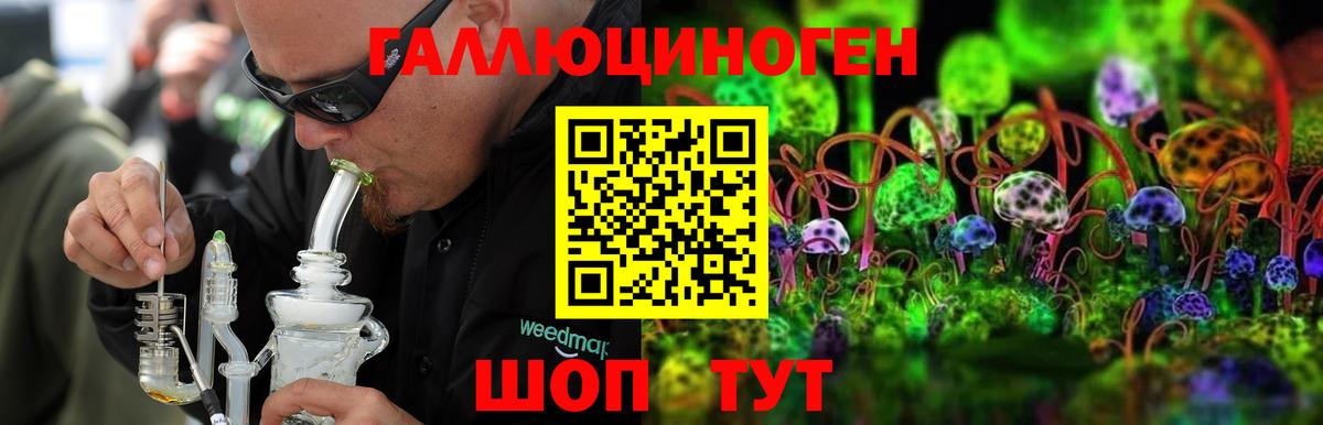 Тихвин  Псилоцибиновые грибы мухоморы  где продают   Вход с VPN 